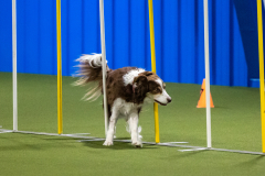 2023-AADTC-April-Trial-863