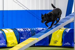 2023-AADTC-April-Trial-867