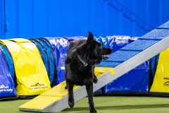 2023-AADTC-April-Trial-868