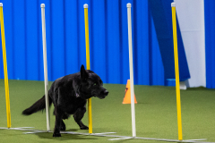 2023-AADTC-April-Trial-873