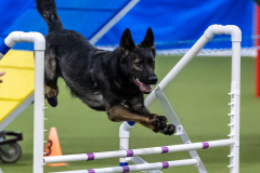 2023-AADTC-April-Trial-877