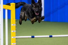 2023-AADTC-April-Trial-883