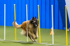 2023-AADTC-April-Trial-888