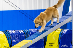 2023-AADTC-April-Trial-895