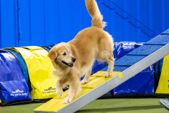 2023-AADTC-April-Trial-896