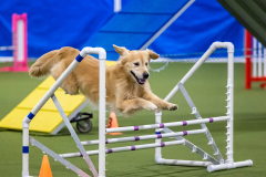 2023-AADTC-April-Trial-897