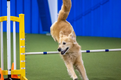 2023-AADTC-April-Trial-903