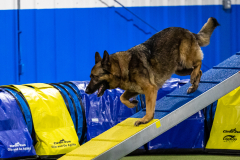 2023-AADTC-April-Trial-904