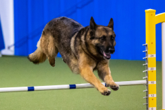 2023-AADTC-April-Trial-910