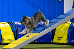 2023-AADTC-April-Trial-911