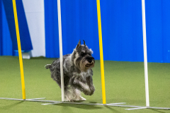 2023-AADTC-April-Trial-917