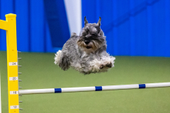 2023-AADTC-April-Trial-918