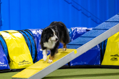 2023-AADTC-April-Trial-920