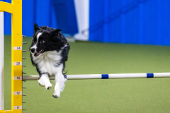 2023-AADTC-April-Trial-928