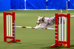 2023-AADTC-April-Trial-93