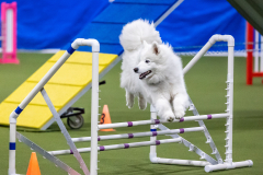 2023-AADTC-April-Trial-930