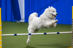 2023-AADTC-April-Trial-934