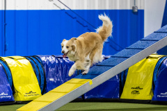 2023-AADTC-April-Trial-935