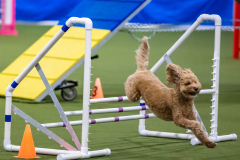 2023-AADTC-April-Trial-942