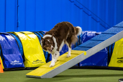 2023-AADTC-April-Trial-949