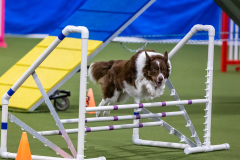 2023-AADTC-April-Trial-950