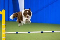 2023-AADTC-April-Trial-954