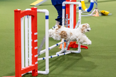 2023-AADTC-April-Trial-961