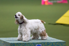 2023-AADTC-April-Trial-962