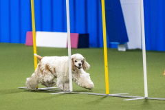 2023-AADTC-April-Trial-966