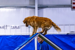 2023-AADTC-April-Trial-97