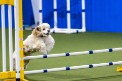 2023-AADTC-April-Trial-970