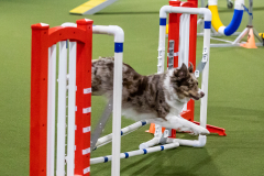 2023-AADTC-April-Trial-971