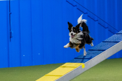 2023-AADTC-April-Trial-973