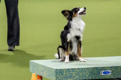 2023-AADTC-April-Trial-975