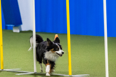 2023-AADTC-April-Trial-978