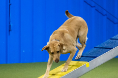 2023-AADTC-April-Trial-982