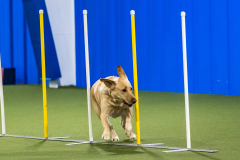 2023-AADTC-April-Trial-984