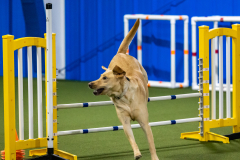 2023-AADTC-April-Trial-985