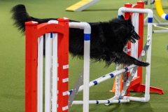 2023-AADTC-April-Trial-986