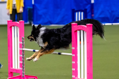 2023-AADTC-April-Trial-99