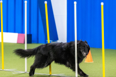 2023-AADTC-April-Trial-990