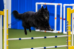 2023-AADTC-April-Trial-991