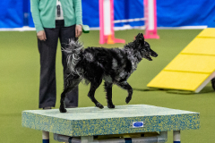 2023-AADTC-April-Trial-992