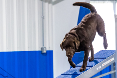 2023-AADTC-April-Trial-999