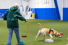 10-21-23-ScentWork-237