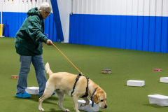 10-21-23-ScentWork-244
