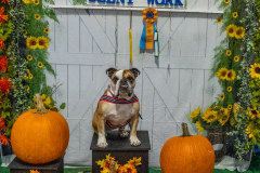 10-21-23-ScentWork-632