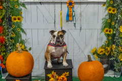 10-21-23-ScentWork-634