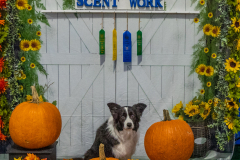 10-21-23-ScentWork-638