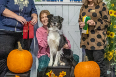 10-21-23-ScentWork-696